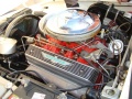 Veteran-Ford-Thunderbird-motor.jpg